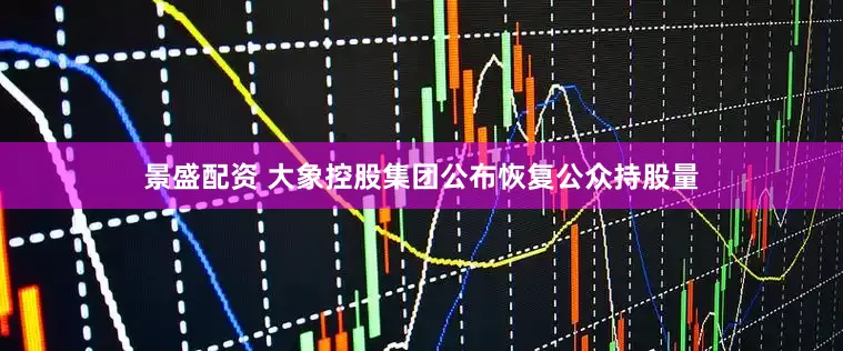 景盛配资 大象控股集团公布恢复公众持股量